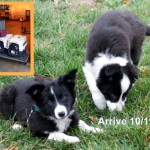 Mither (left) and Moss arrive in Missouri October 2011
