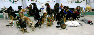 Cast picture for 2006 show