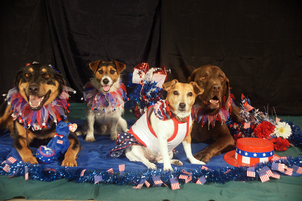 Gracie, Rueben, Emmy Lu and Toby, all dressed for the July 4 holiday.