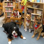 These dogs came to listen at a literacy night program at Shepherd Blvd Elementary School June 17, 2014
