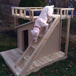 Two-story doghouse