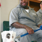 Missouri inmate training program graduates 3,000th canine