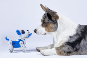 Robot and Dog Look at each other (Adobe Stock)