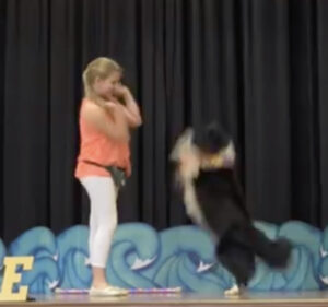 Elementary girl and Border Collie perform at 2017 talent show