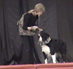 Border Collies and Girl perform at talent show