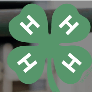4H Logo - Clover Leaf