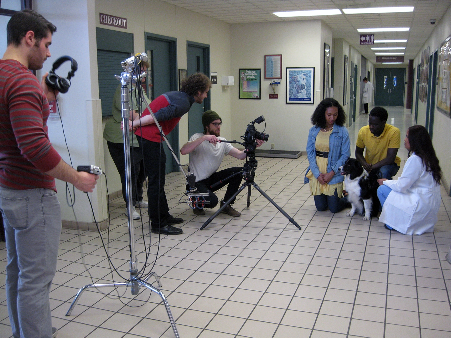 Hallway setting for TV commercial with Border Collie dog, actors and camera