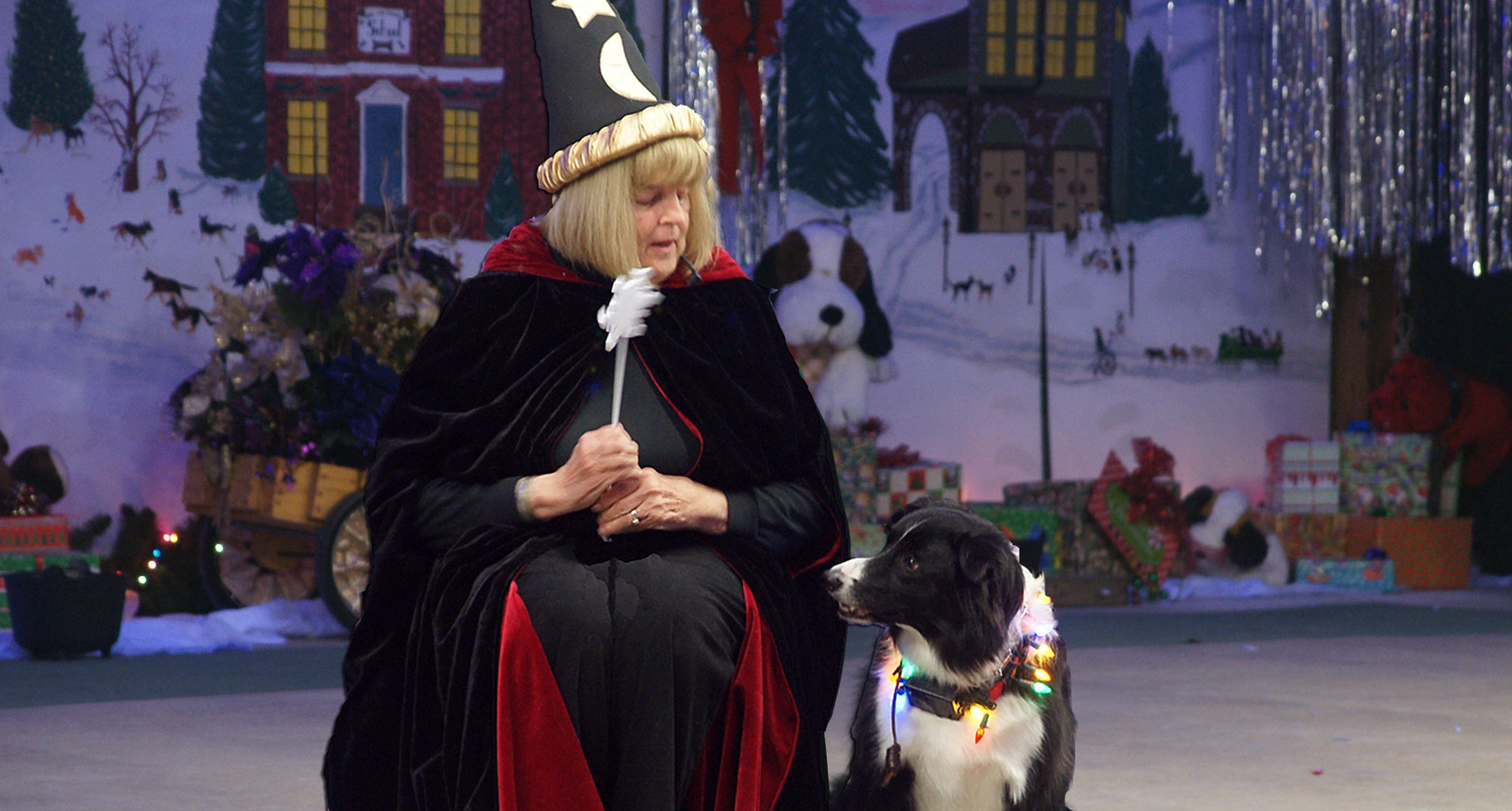 Woman wearing wizzard robe and hat, sitting next to Border Collie appearing ready to give a dance performance