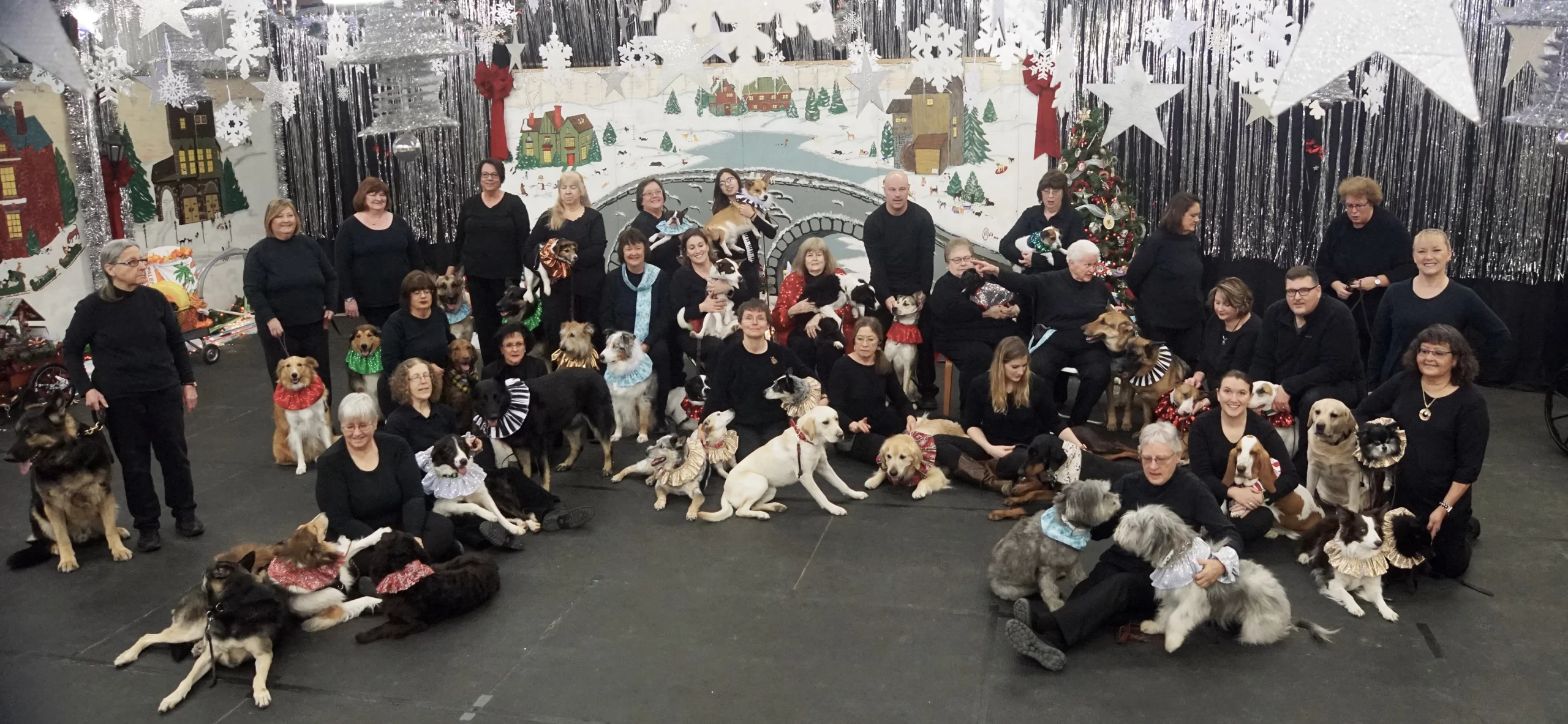 Group photo of men and women sitting and standing with their dogs. Photo is of cast members of the December 2019 program
