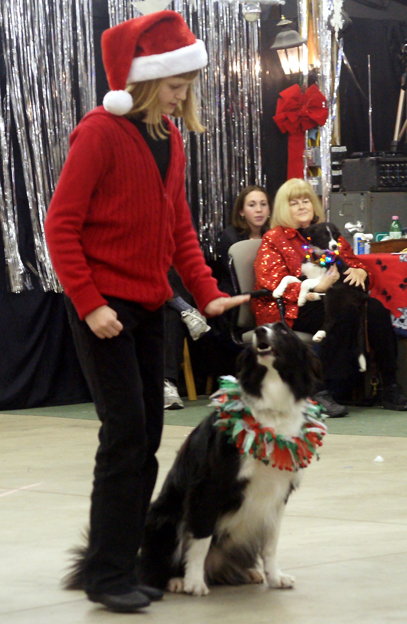 Girl performs dance moves with Border Collie backing between the girl's legs.