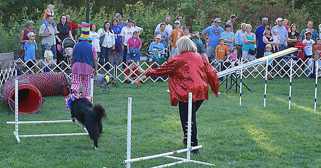 Woman directs Border Collie on an agility course with spectators watching in a park setting.
