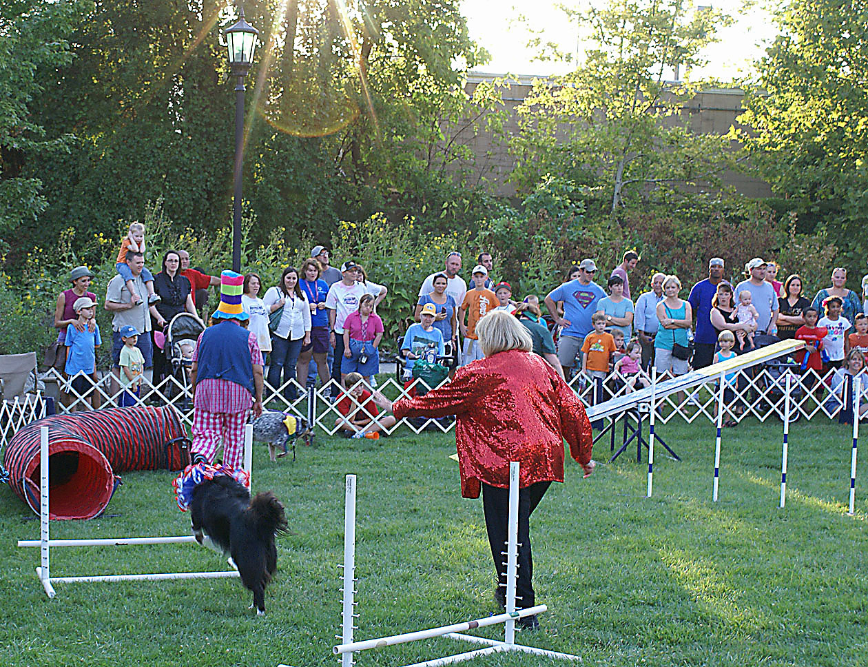 Woman directs Border Collie on an agility course with spectators watching in a park setting.