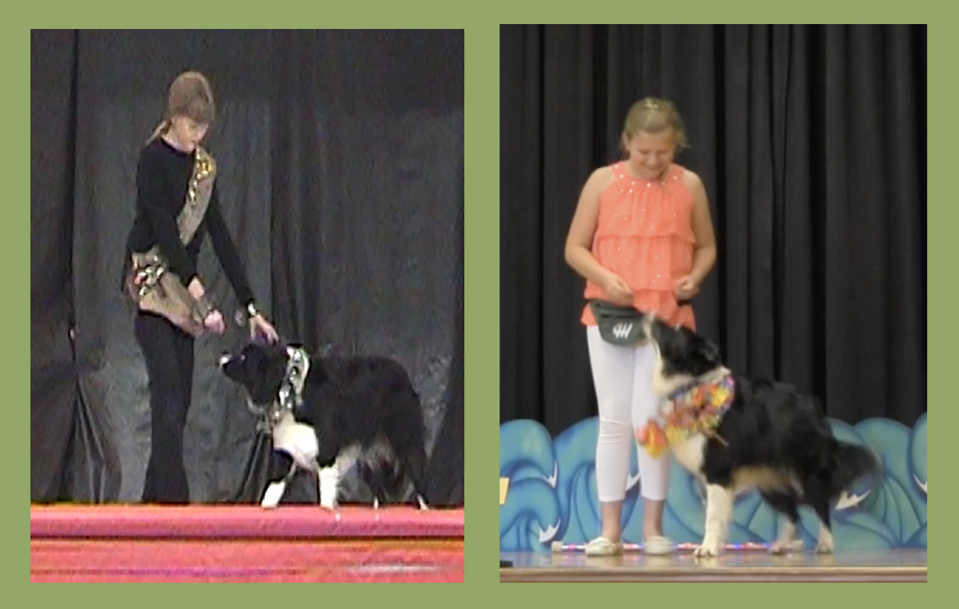 Two pictures in this frame of girls with Border Collies demonstrating obedience skills
