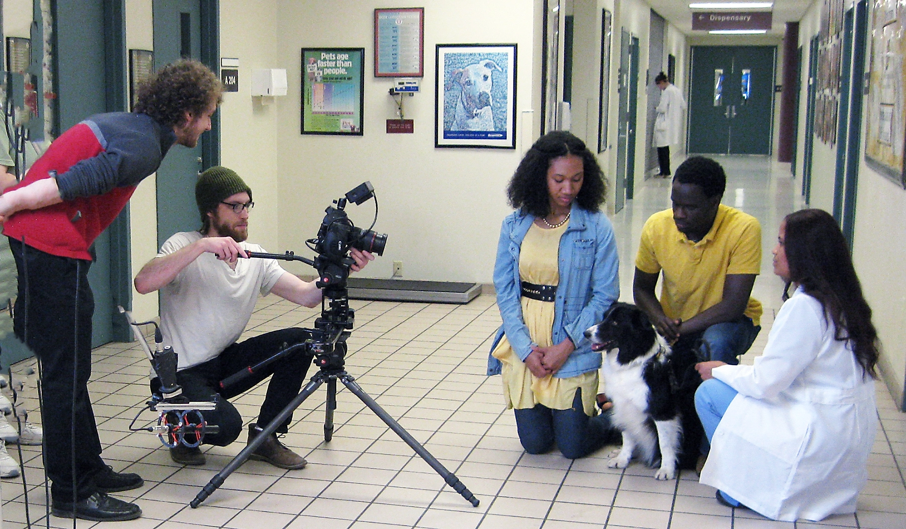Hallway setting for TV commercial with Border Collie dog, actors and camera
